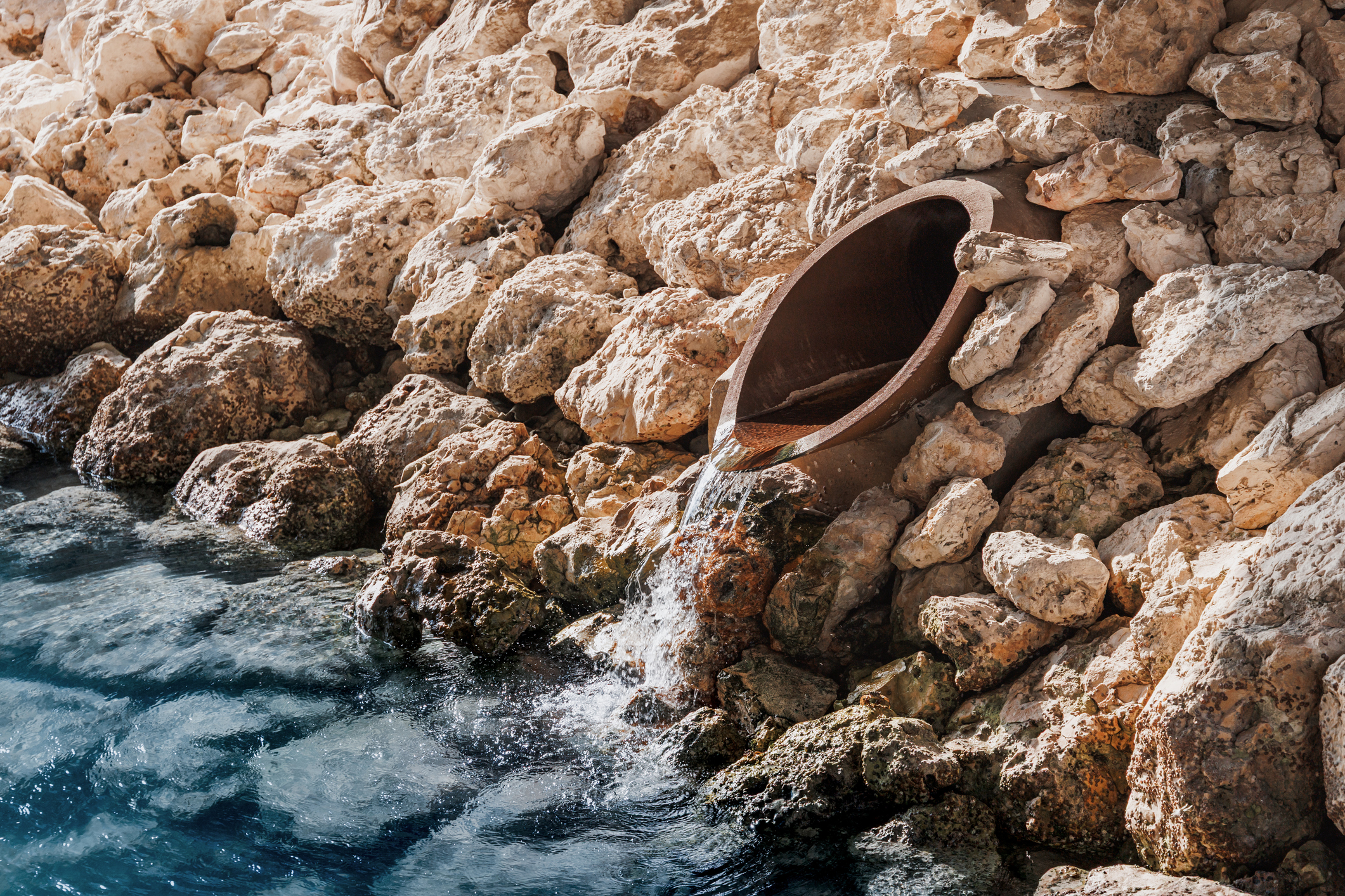 Sustainable Drainage Systems (SuDS): The Future of Surface Water Management